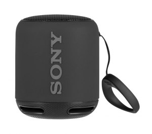   Sony SRS-10, 