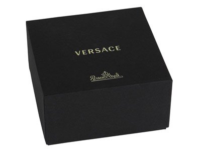   Versace Barocco