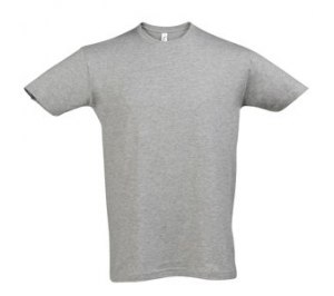 �������� ������� Regent, ����� ������