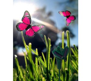 ������� �� ��������� ��������