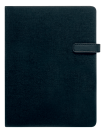 �������� ������ "Lanvin" ������� �����