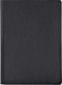 �������� ������ "Agnes" ������� �����