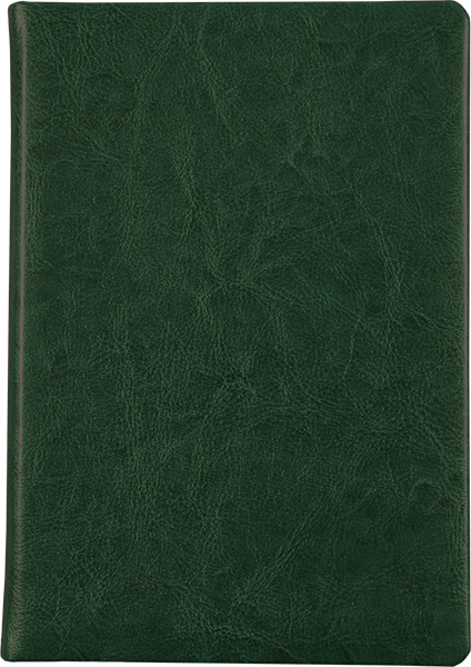 �������������� ���������� A5 SILVANO �������� �����