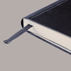 �������� ������ "Agnes" ������� �����