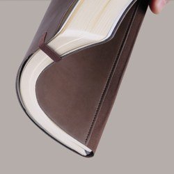 �������� ������ "Agnes" ������� �����