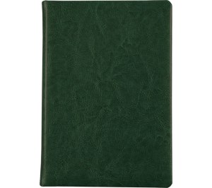 �������������� ���������� A5 SILVANO �������� �����