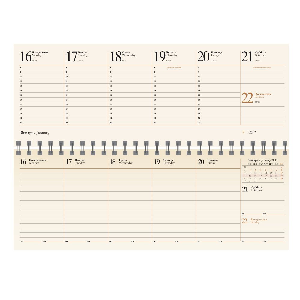 ������� REINA 5497 (794) 298x140 ��, ������, �������� ����, ��������� ���� 2017