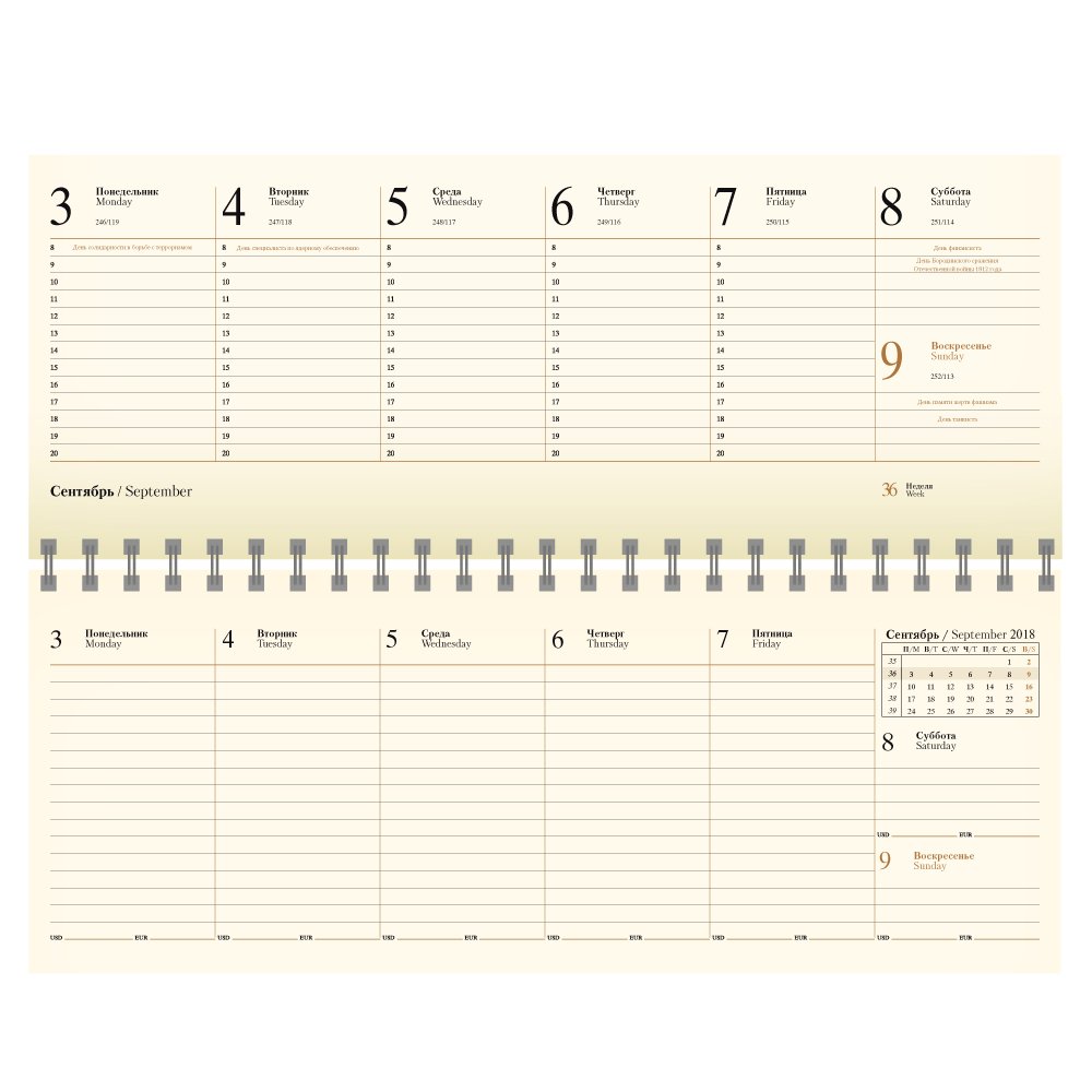 ������� REINA 5497 (794) 298x140 ��, ������, �������� ����, ��������� ���� 2018