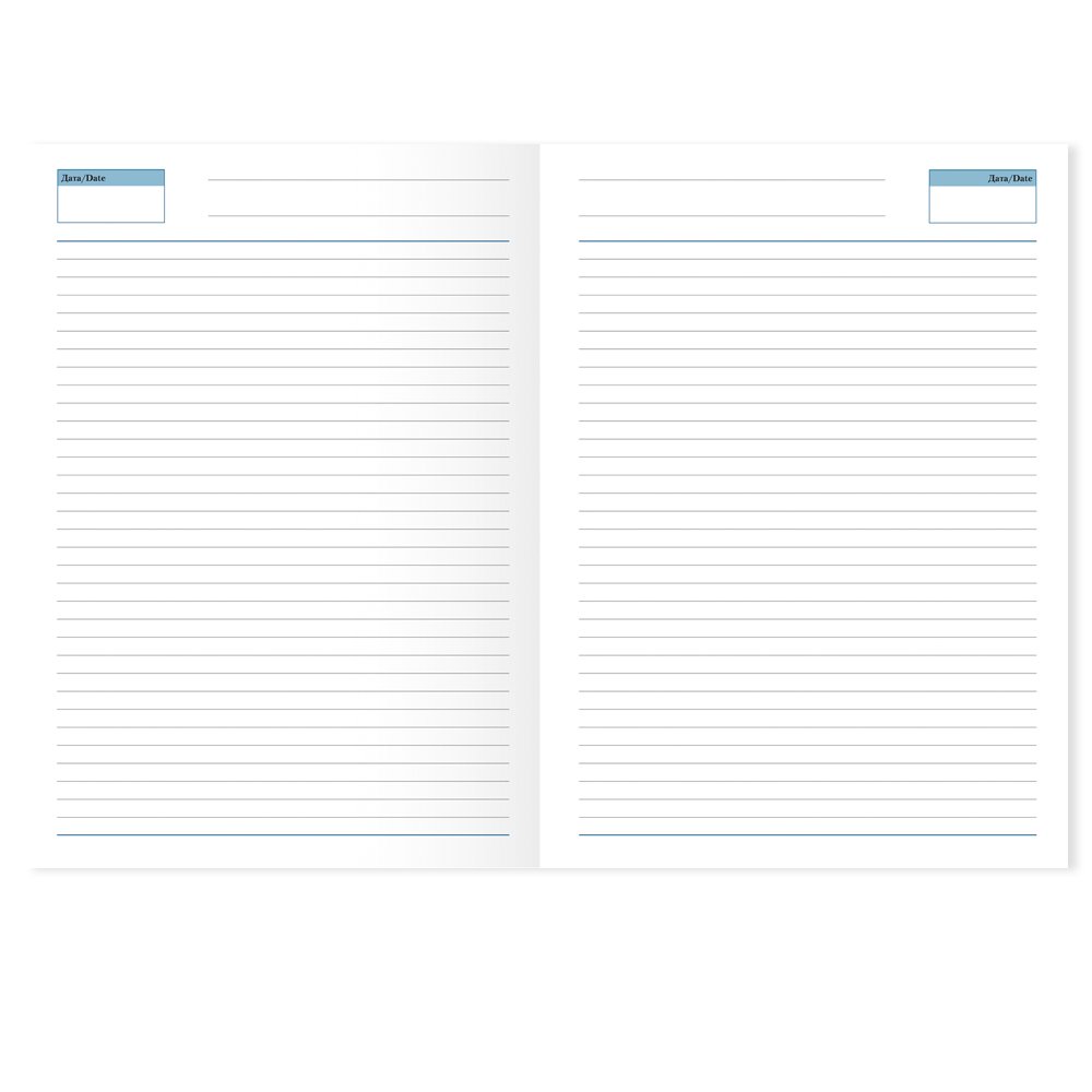 ���������� �������������� Vegas 145�205 ��, �������