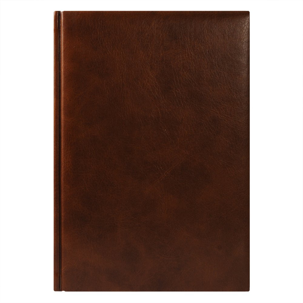 ���������� �������������� Vegas 145�205 ��, ����������, �����-���� �������, ��������� �� 2016