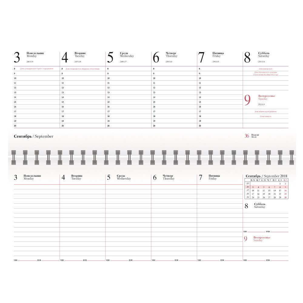 ������� REINA 5495 (794) 298x140 ��, �����, ����� ����, ������������ ���� 2018