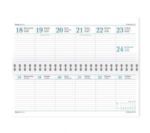 ������� ������������ Vegas 298�140 ��, �������� 2016