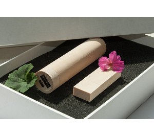 ����� ��� 3/03 (U-PK023, Z146, DR003) (�����, 119�195*45, ���� ����������� �� 2600 mah, ���� ����������� � ����� 16 ��)