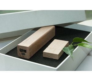 ����� ��� 2/06 (U-PK023, Z144, DR006) (�����, 119�195*45, ��� ����������� �� 2600 mah,��� ����������� � ����� 4 ��)