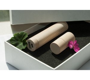 ����� ��� 3/10 (U-PK023, Z146, DR010) (�����, 119�195*45, ���� ����������� �� 2600 mah, ���� ����������� � ����� 8 ��)