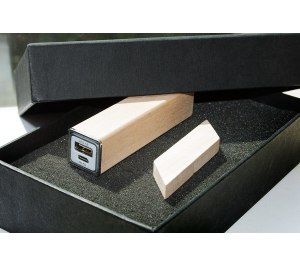 ����� ��� 1/21 (U-PK023, Z053, DR021) (������, 119�195*45, ���� ����������� �� 2600 mah,���� ����������� � ����� 4 ��