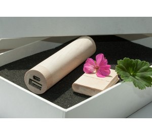 ����� ��� 3/32 (U-PK023, Z146, DR032) (�����, 119�195*45, ���� ����������� �� 2600 mah, ���� ����������� � ����� 4 ��)