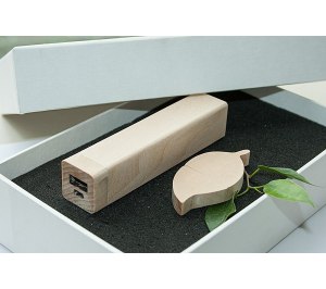 ����� ��� 2/15 (U-PK023, Z144, DR015) (�����, 119�195*45, ���� ����������� �� 2600 mah,���� ����������� � ����� 64 ��)