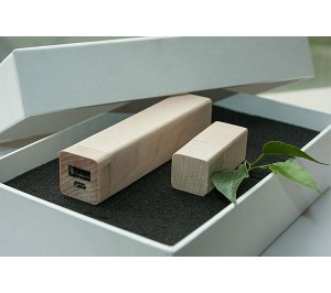 ����� ��� 2/17 (U-PK023, Z144, DR017) (�����, 119�195*45, ���� ����������� �� 2600 mah,���� ����������� � ����� 4 ��)