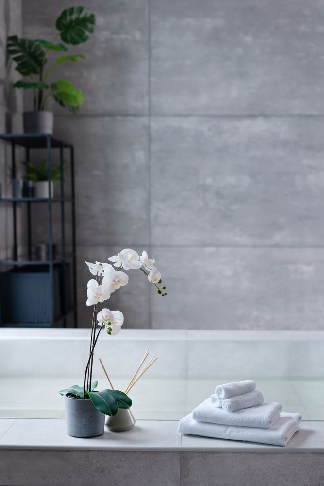 ��������� �������� For Rooms, �������, �����