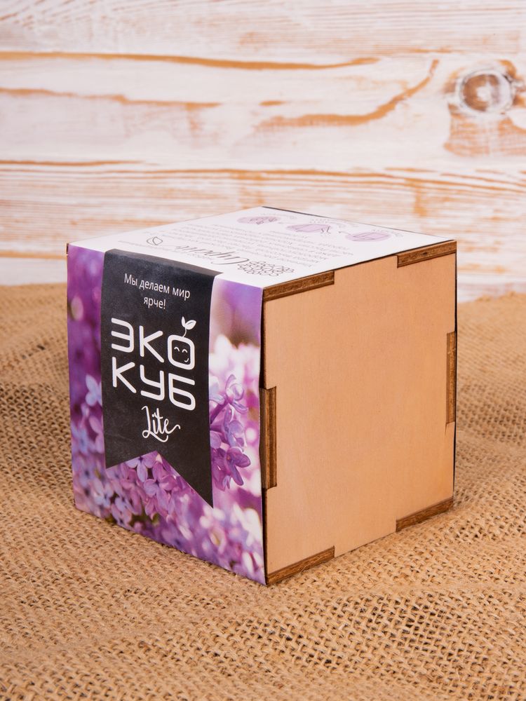 ����� ��� ����������� ������� Lite�, ������