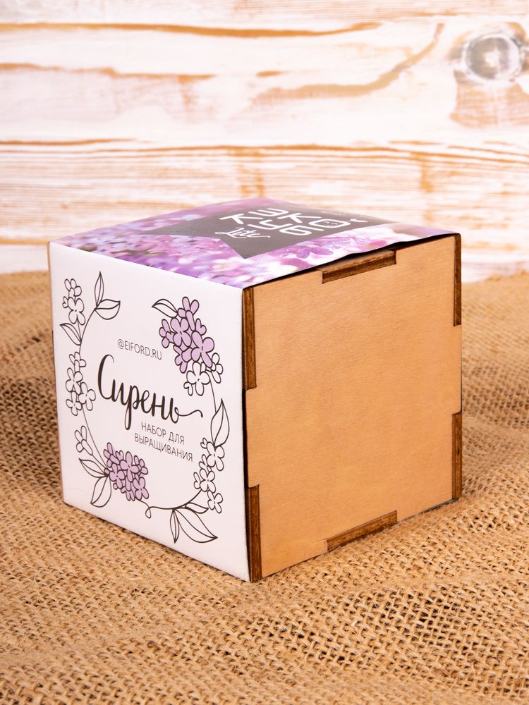 ����� ��� ����������� ������� Lite�, ������