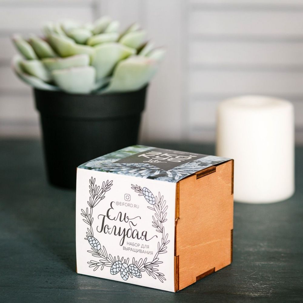 ����� ��� ����������� ������� Lite�, ��� �������