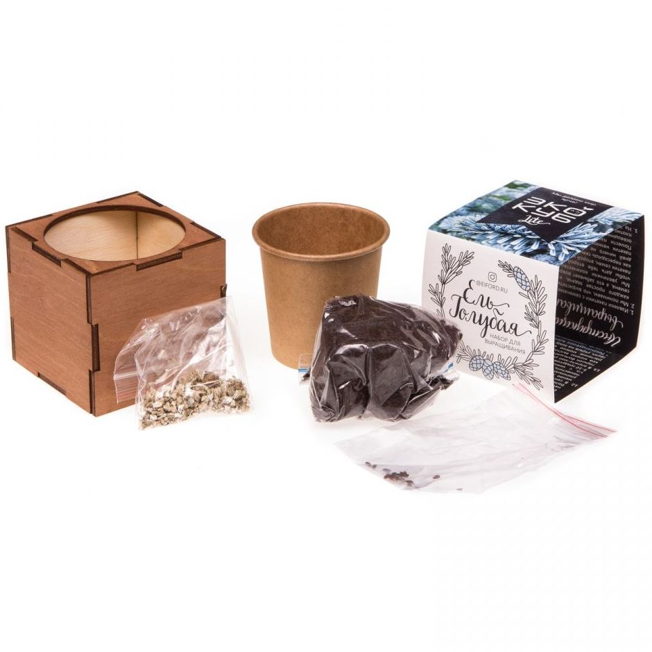 ����� ��� ����������� ������� Lite�, ��� �������