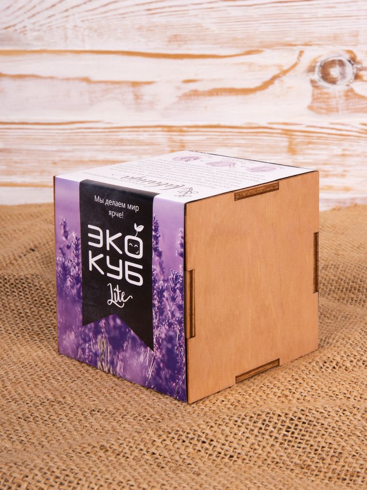 ����� ��� ����������� ������� Lite�, �������