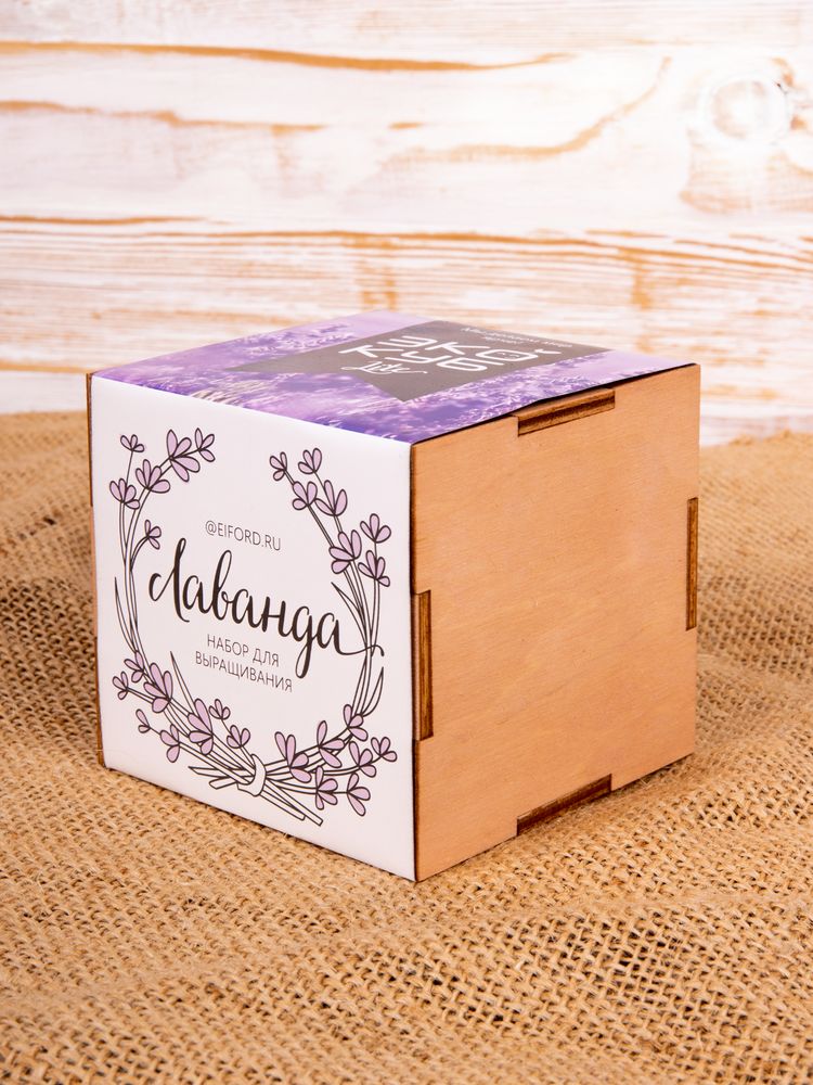 ����� ��� ����������� ������� Lite�, �������