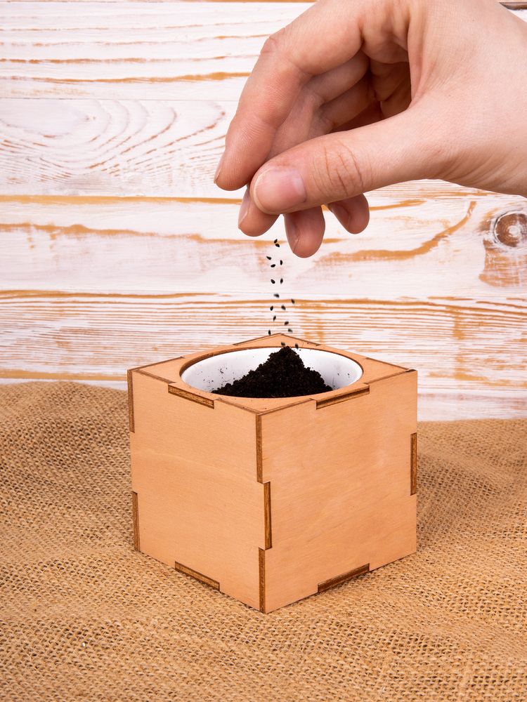 ����� ��� ����������� ������� Lite�, �������