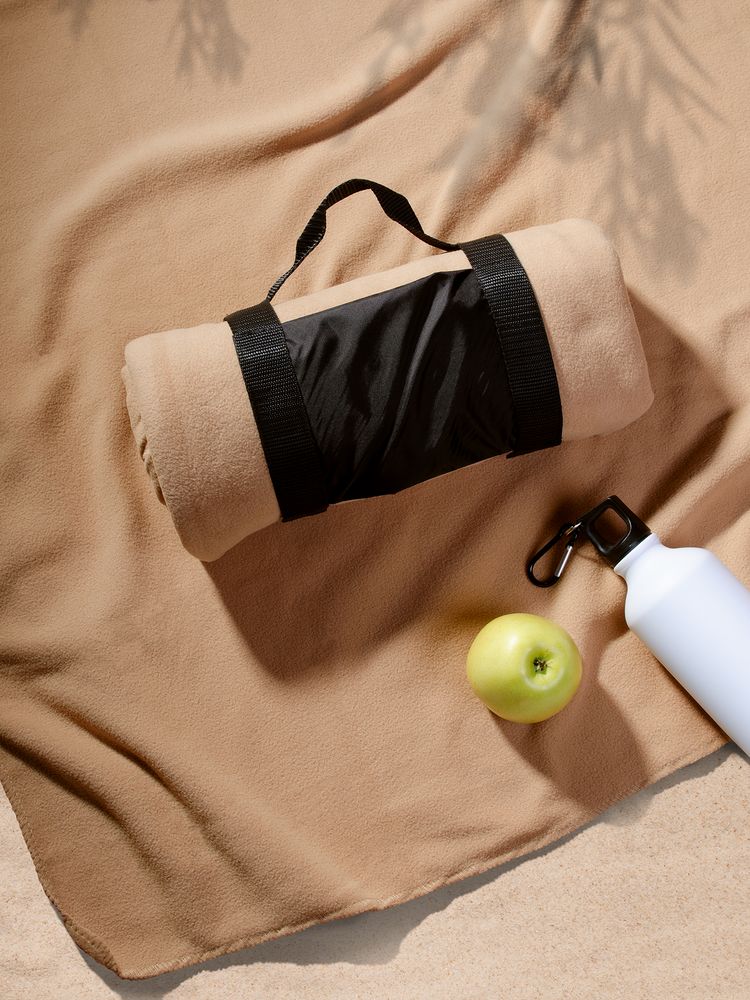 �������� ���� Voyager, �������