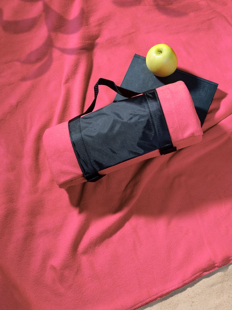 �������� ���� Voyager, ������� (����������)