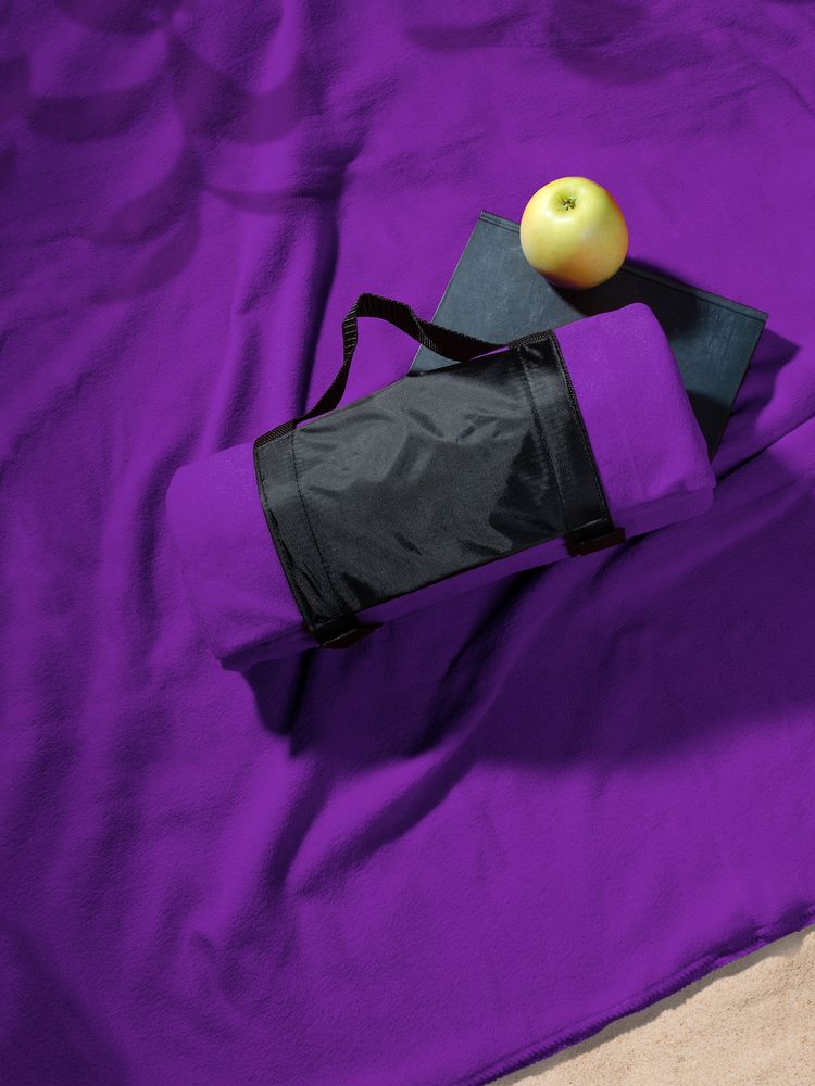 �������� ���� Voyager, ����������