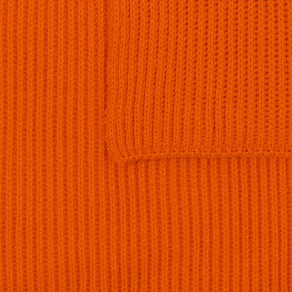 ���� Life Explorer, ���������