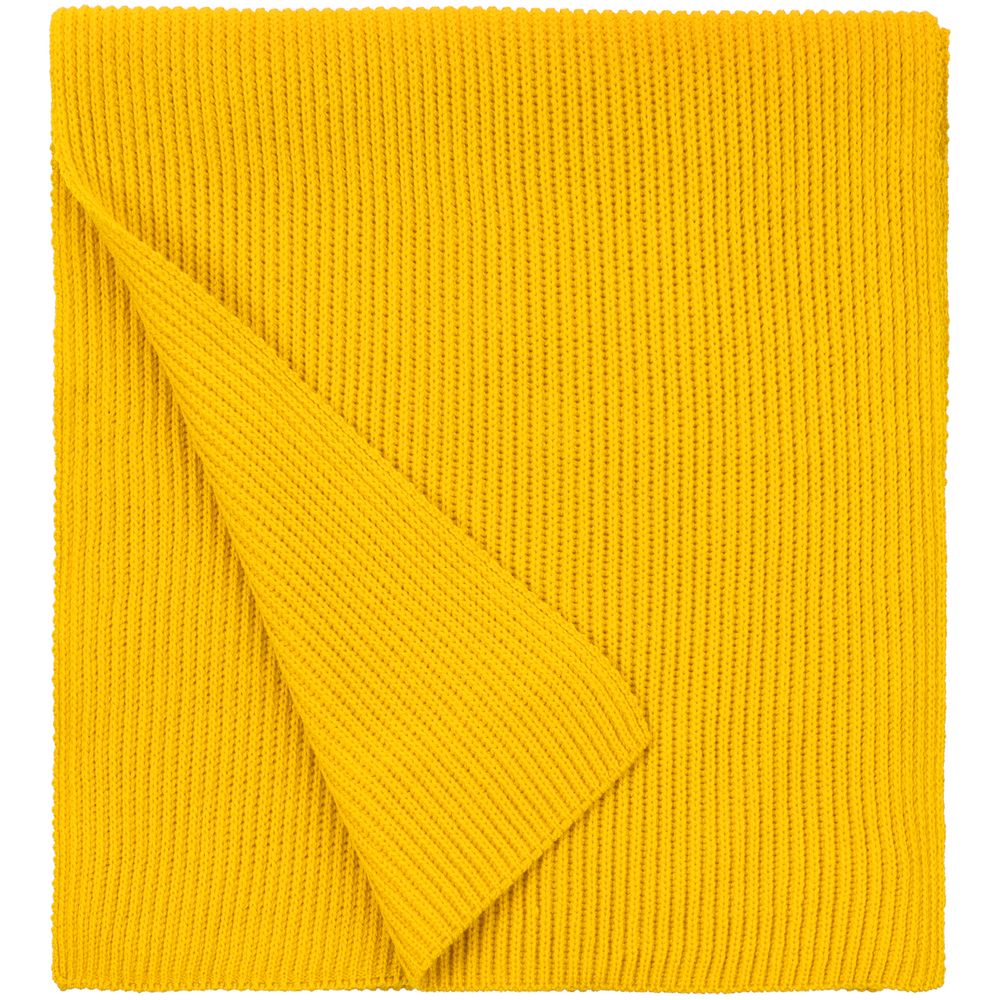 ���� Life Explorer, ������