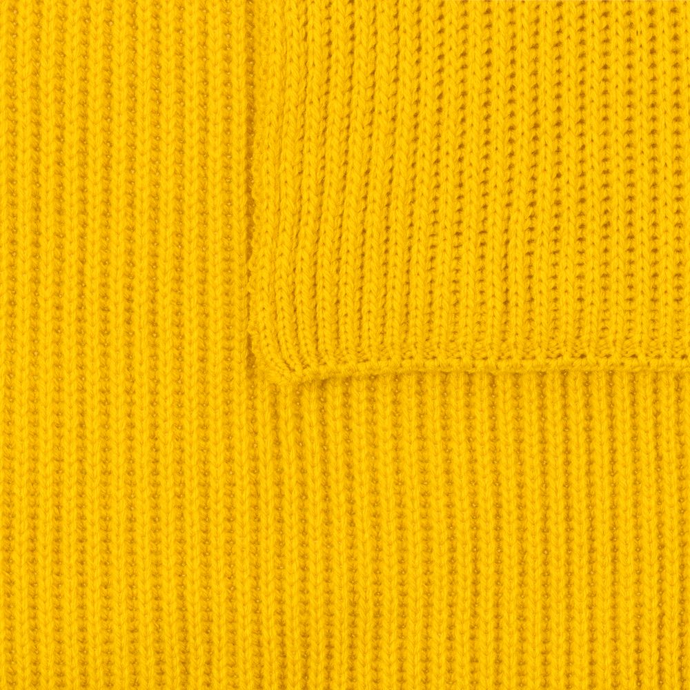 ���� Life Explorer, ������