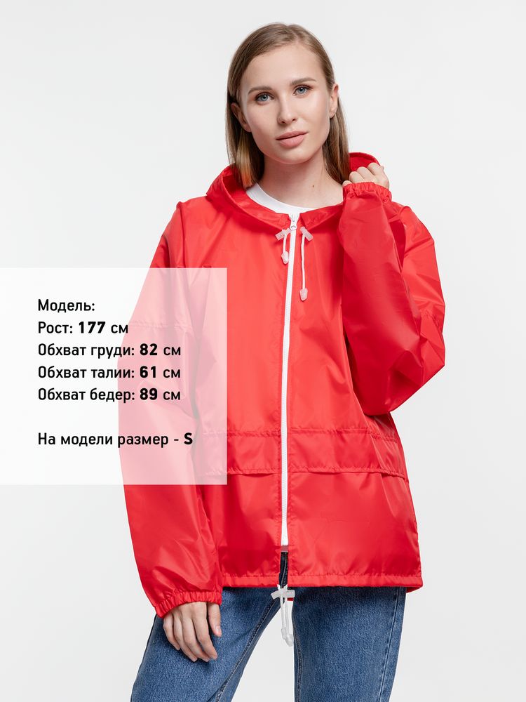 �������� Kivach Promo, �������