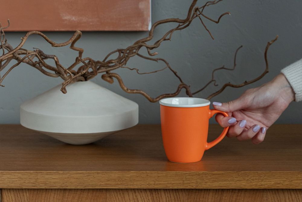 ������ Doppel, ���������