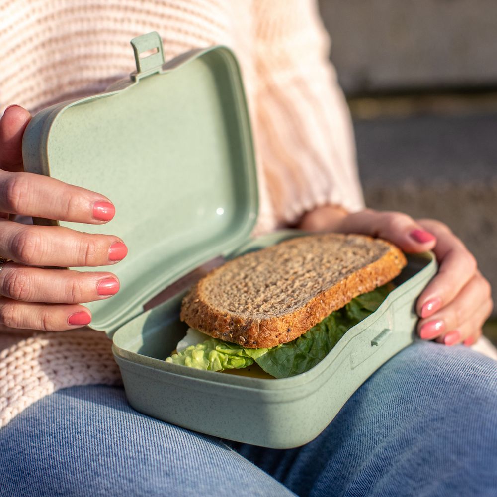 �������� Basic Organic, �����