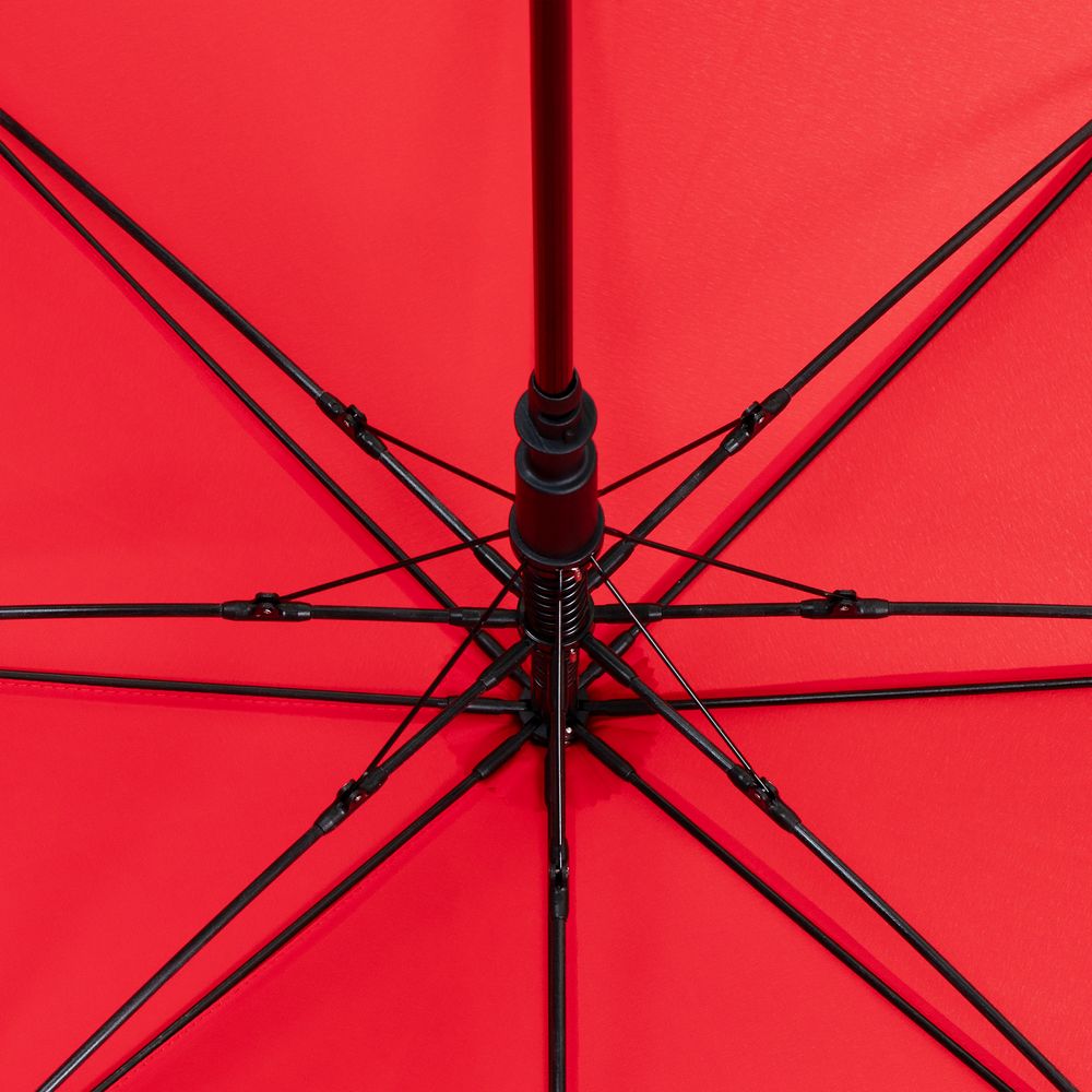 ����-������ Fashion, �������