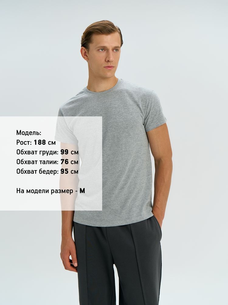 �������� REGENT 150, ������ ������