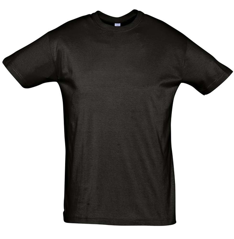 �������� REGENT 150, ������