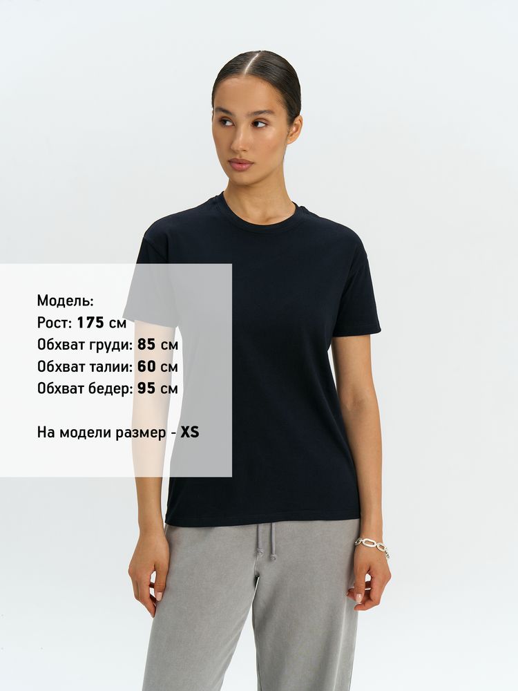 �������� REGENT 150, ����������