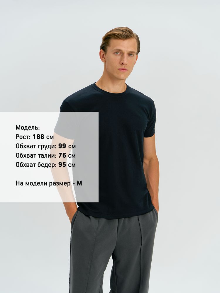 �������� REGENT 150, ����������