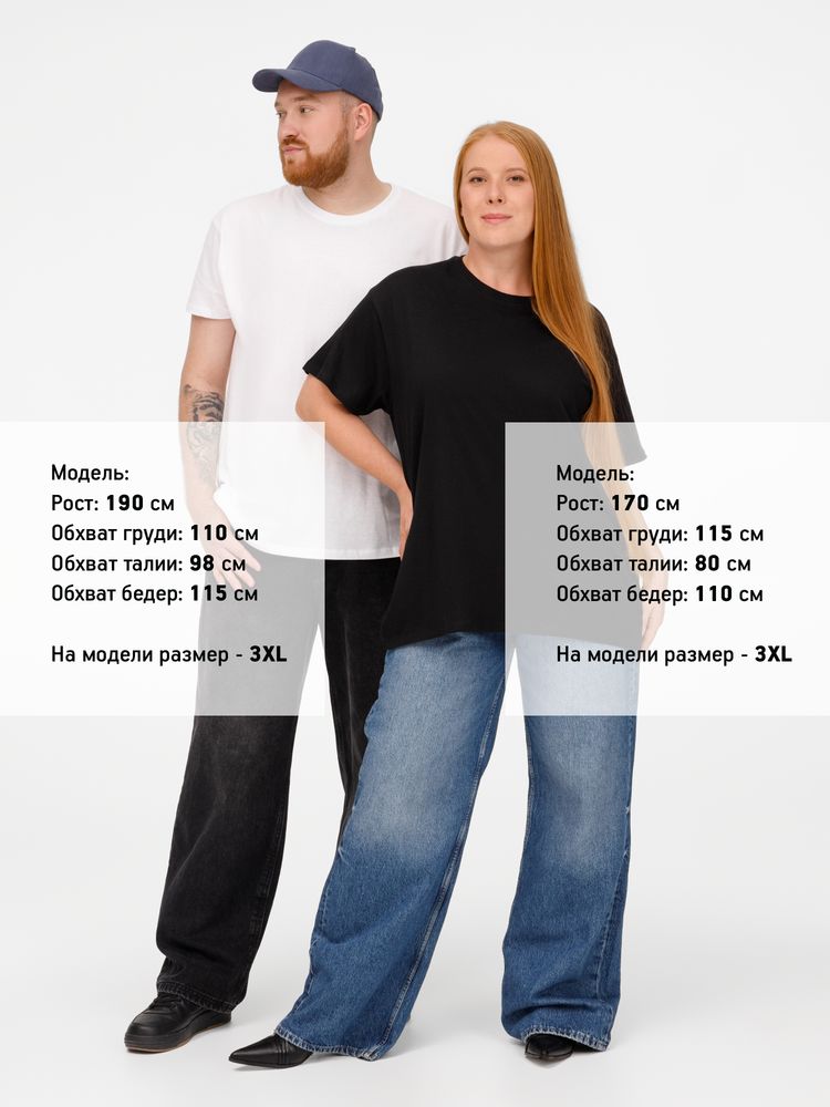 �������� REGENT 150, ������