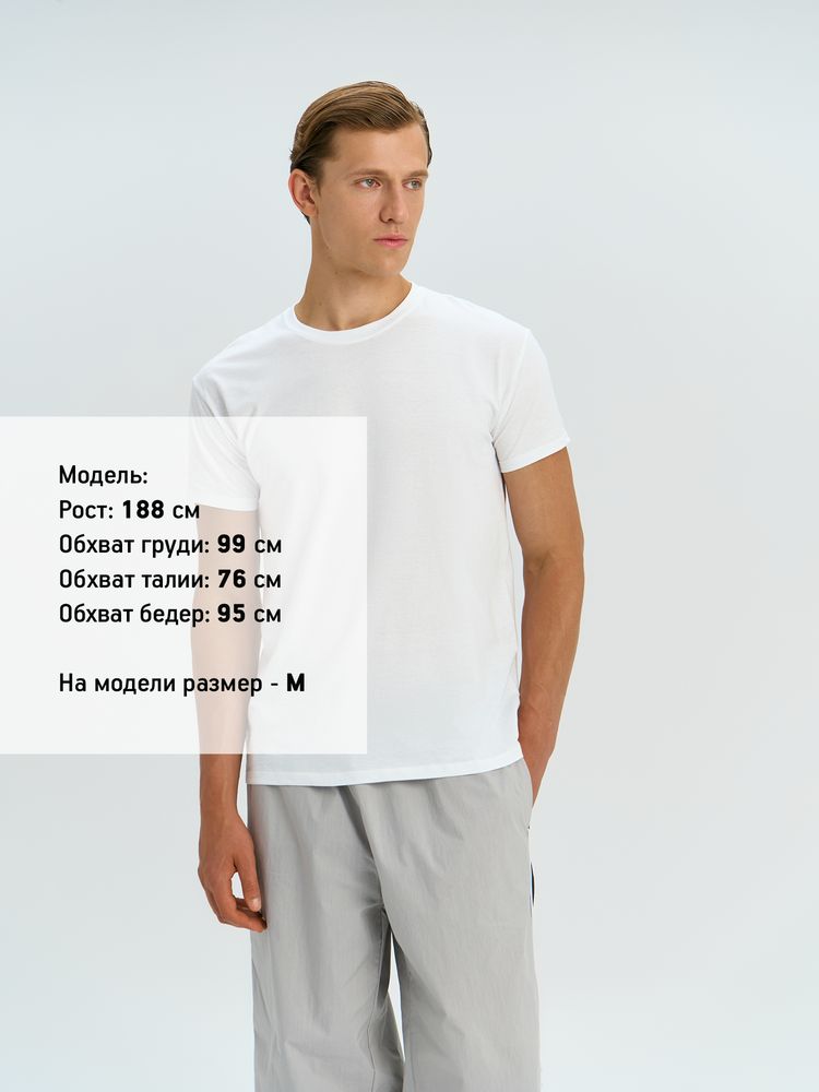 �������� REGENT 150, ������� �������