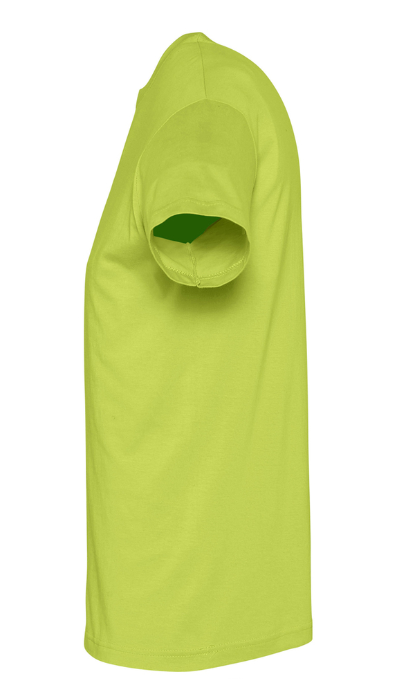 �������� REGENT 150, ������� ������