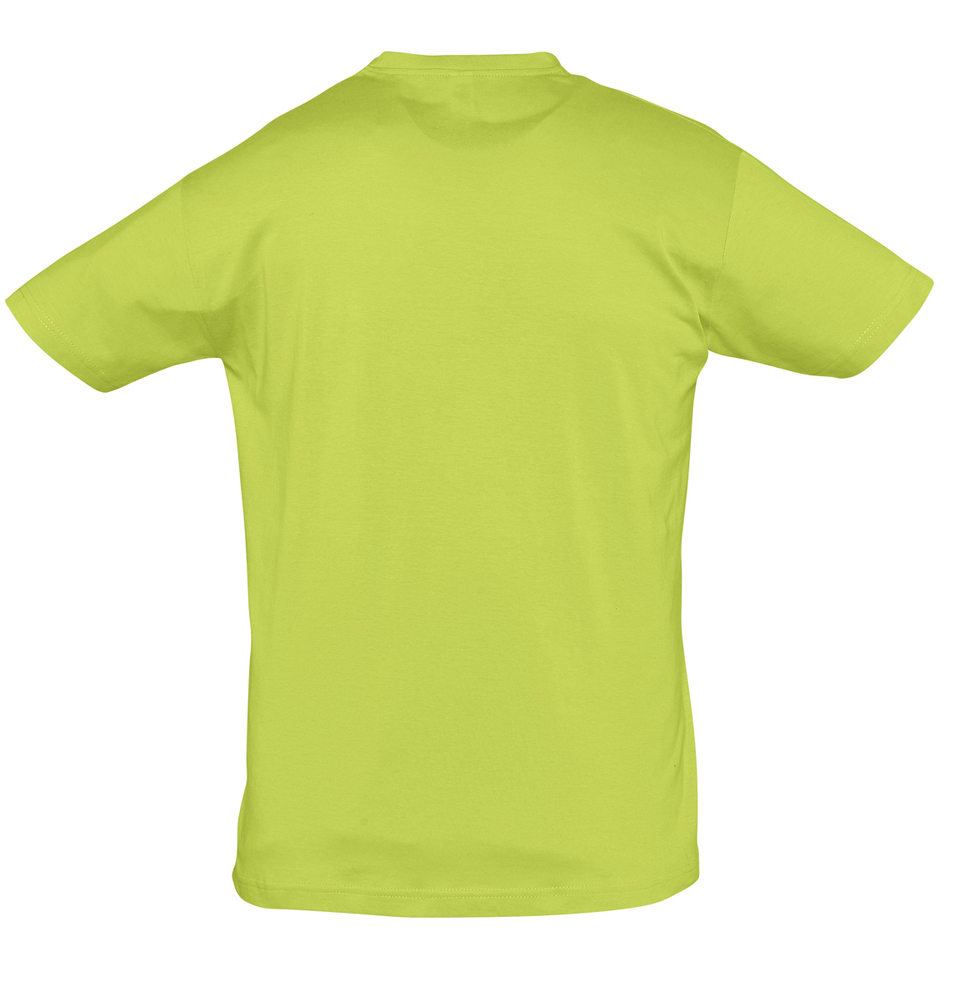 �������� REGENT 150, ������� ������