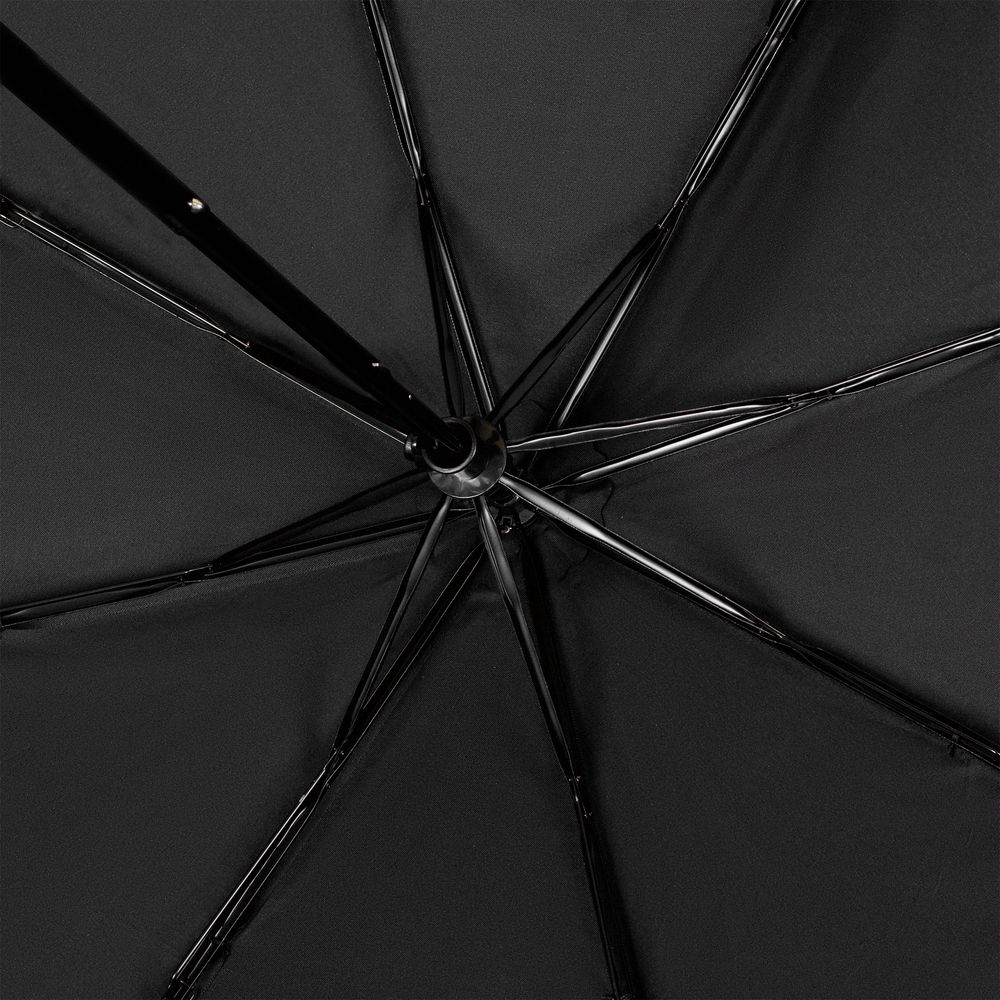 ���� �������� Trend Mini, ������